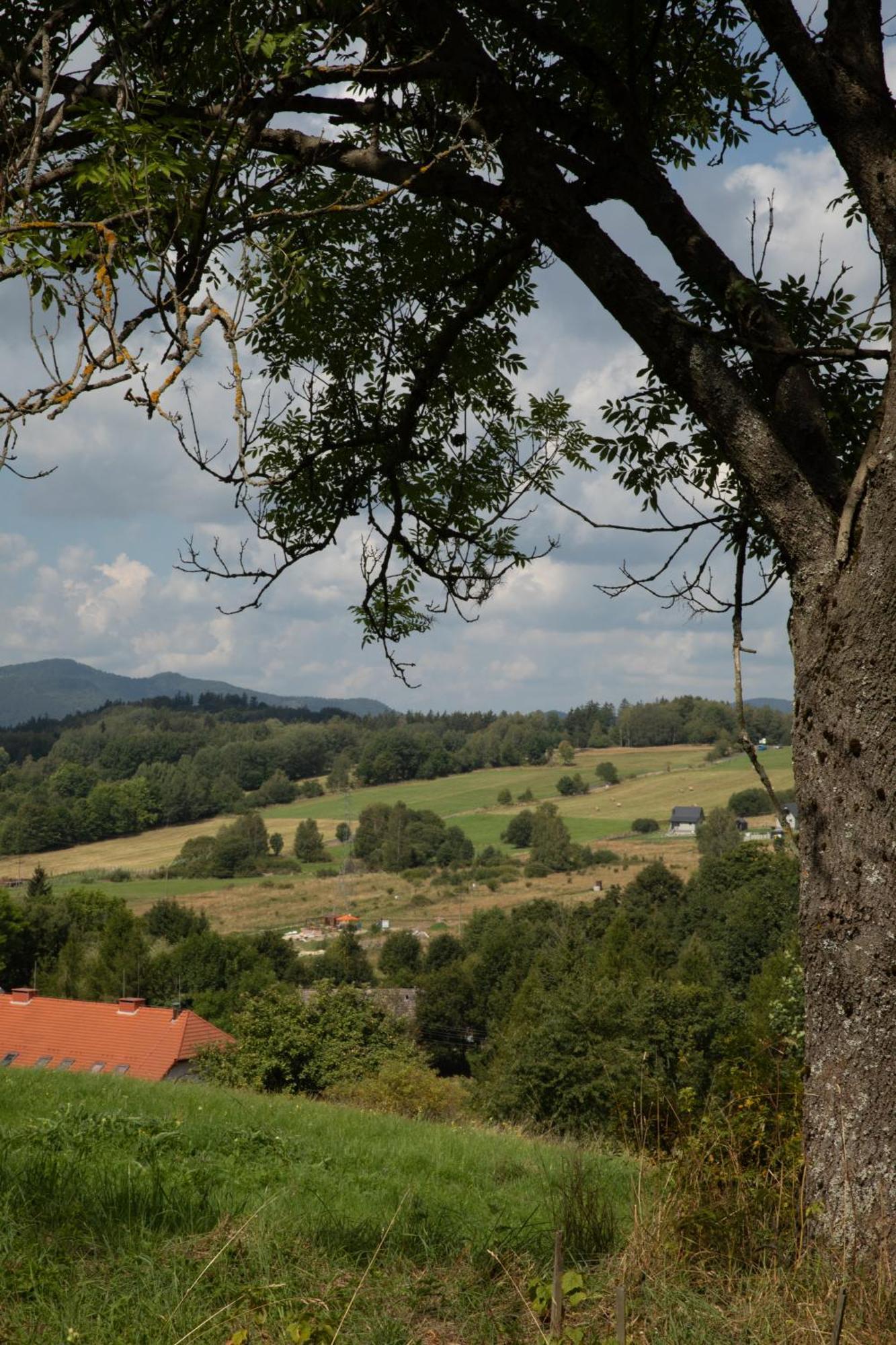 Dziki Domek Sierpnica المظهر الخارجي الصورة